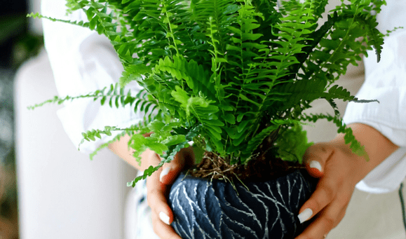 Dönüşen Evler: Yeni Yaşam Biçimlerinin Mimari Yansıması